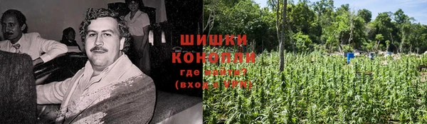 ALPHA PVP Белокуриха